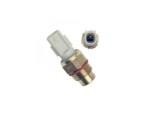 Thermal Switch