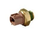 Thermal Switch