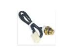 Thermal Switch