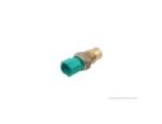 Thermal Switch