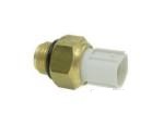 Thermal Switch