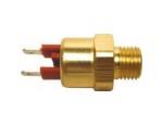 Thermal Switch