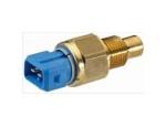Thermal Switch