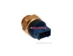 Thermal Switch