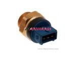 Thermal Switch