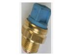 Thermal Switch