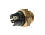 Thermal Switch