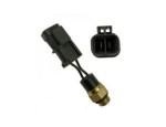 Thermal Switch