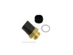 Thermal Switch