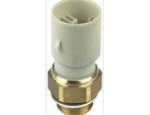 Thermal Switch