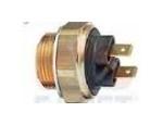 Thermal Switch