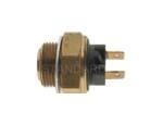 Thermal Switch