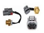 Thermal Switch