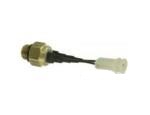 Thermal Switch