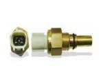 Thermal Switch