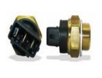 Thermal Switch