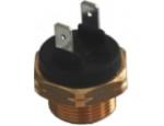 Thermal Switch