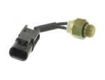 Thermal Switch