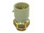 Thermal Switch