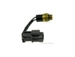 Thermal Switch