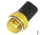 Thermal Switch