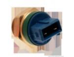 Thermal Switch