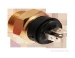Thermal Switch
