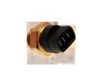 Thermal Switch