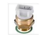 Thermal Switch