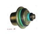 Fuel Pressure Regulator