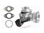 Exhaust Gas Recirculation Valve（EGR Valve）