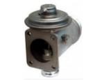 Exhaust Gas Recirculation Valve（EGR Valve）