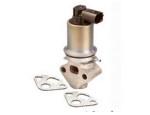 Exhaust Gas Recirculation Valve（EGR Valve）