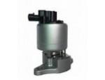Exhaust Gas Recirculation Valve（EGR Valve）