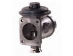 Exhaust Gas Recirculation Valve（EGR Valve）