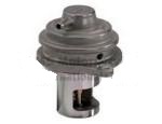 Exhaust Gas Recirculation Valve（EGR Valve）