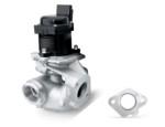Exhaust Gas Recirculation Valve（EGR Valve）