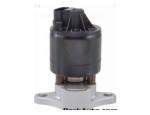 Exhaust Gas Recirculation Valve（EGR Valve）