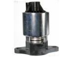 Exhaust Gas Recirculation Valve（EGR Valve）