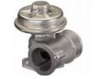 Exhaust Gas Recirculation Valve（EGR Valve）