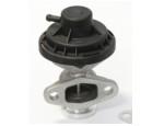 Exhaust Gas Recirculation Valve（EGR Valve）