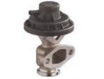 Exhaust Gas Recirculation Valve（EGR Valve）