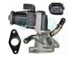 Exhaust Gas Recirculation Valve（EGR Valve）